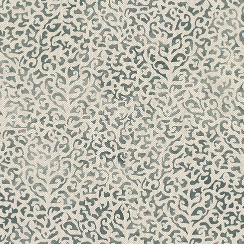 Kandesh Co-ord Fossil